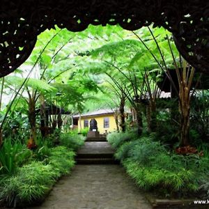 Kaliandra Sejati Eco Resort